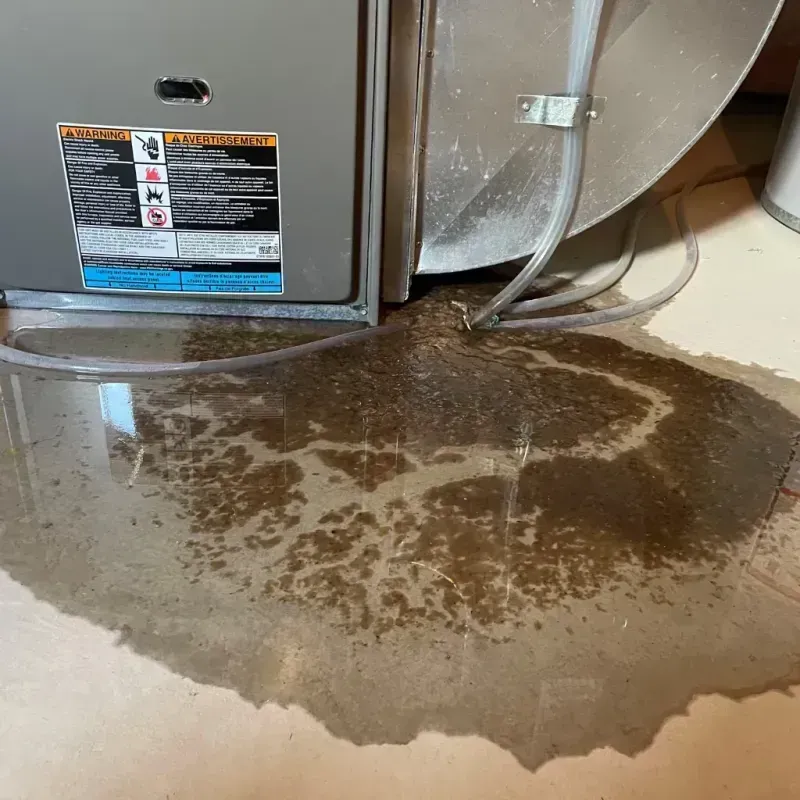 Appliance Leak Cleanup in Sulphur Springs, TX